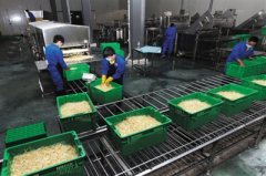 三部門(mén)：生(shēng)産豆芽禁用(yòng)“無根水(shuǐ)” 安全性尚無定論
