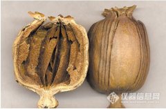 島津應用(yòng)：罂粟殼生(shēng)物(wù)堿的(de)檢測方案