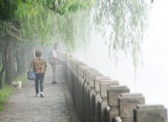 環保局公布上(shàng)半年(nián)生(shēng)物(wù)監測數(shù)據 濕度大(dà)空(kōng)氣黴菌超标