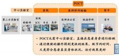 體(tǐ)外(wài)診斷：技(jì)術(shù)與資本角逐的(de)盛宴