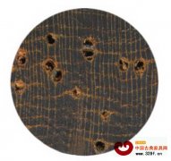 我國(guó)木(mù)材鑒定開(kāi)始使用(yòng)分(fēn)析儀器(qì)技(jì)術(shù)