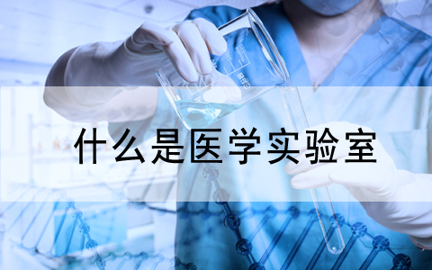 帶你(nǐ)全面了(le)解醫(yī)學實驗室認可(kě)流程