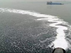 中國(guó)自(zì)來(lái)水(shuǐ)與國(guó)外(wài)自(zì)來(lái)水(shuǐ)的(de)區(qū)别，看(kàn)完絕對(duì)震驚!
